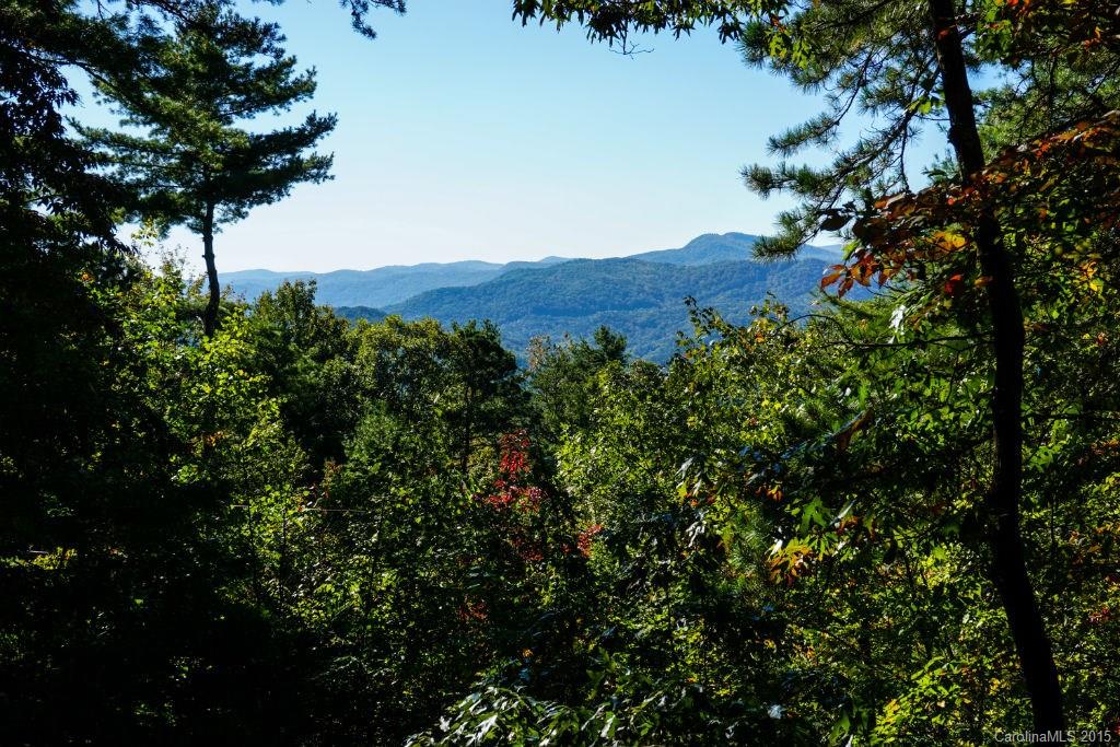 547 Round Mountain Road, Unit 39 Brevard, NC 28712 - Photo 2 of 24 Gallery Image 2