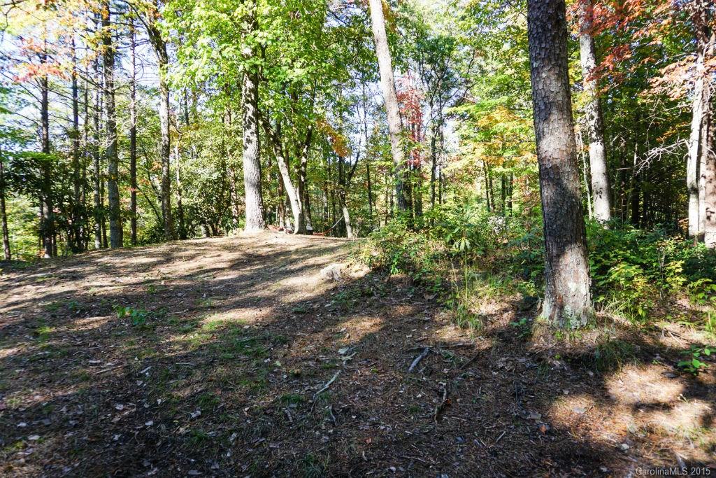 547 Round Mountain Road, Unit 39 Brevard, NC 28712 - Photo 17 of 24 Gallery Image 17