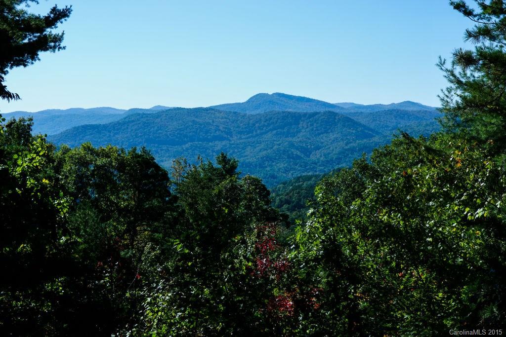 547 Round Mountain Road, Unit 39 Brevard, NC 28712 - Photo 24 of 24 Gallery Image 24