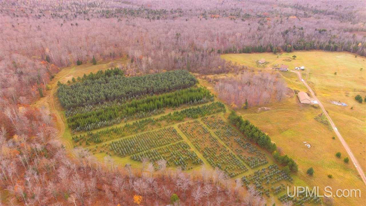 56463 Koskela Road Calumet, MI 49913 - Photo 29 of 50