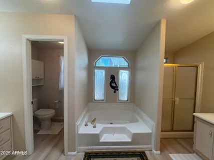 a living room with a couch and a potted plant