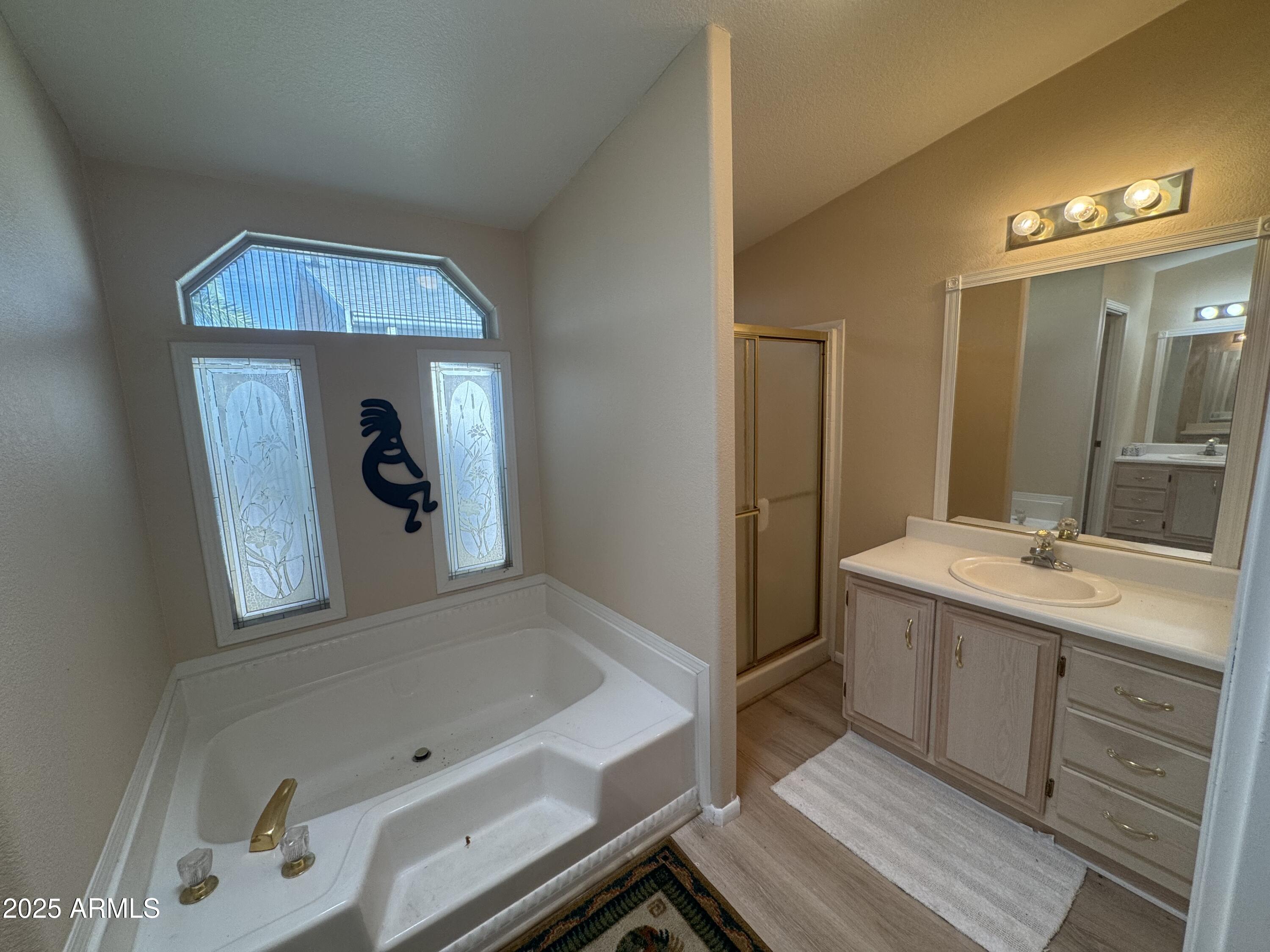 215 North Power Road, Unit 199 Mesa, AZ 85205 - Photo 15 of 27 a bathroom with a tub sink and mirror