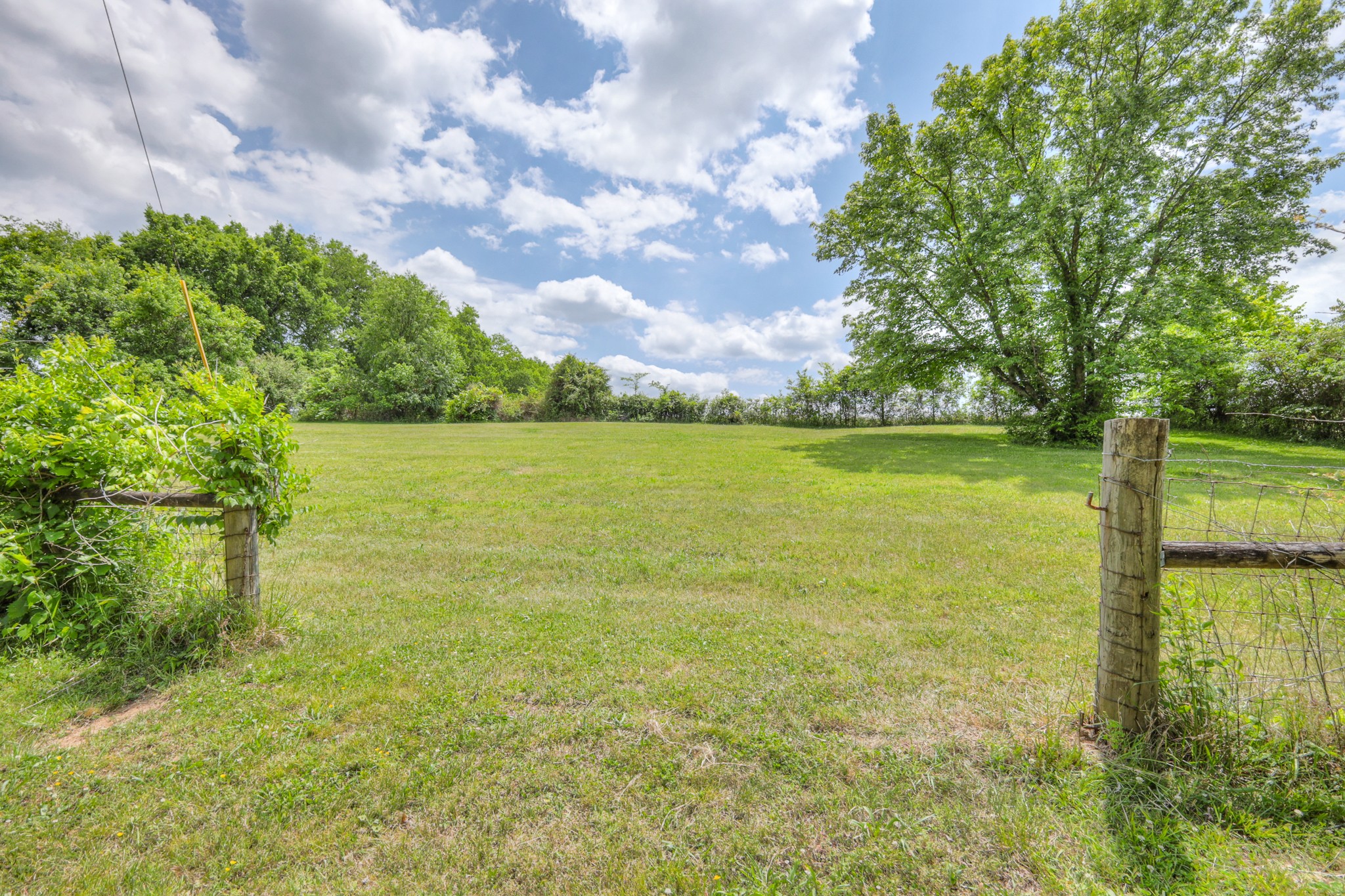 11914 Hogwood Road Milton, TN 37118 - Photo 39 of 44 a view of an ocean from a yard