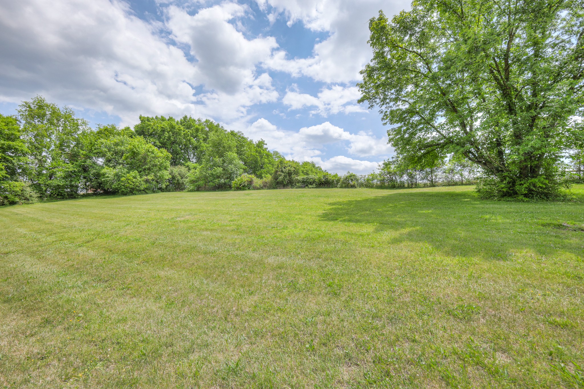 11914 Hogwood Road Milton, TN 37118 - Photo 40 of 44 a view of yard with swimming pool and green space