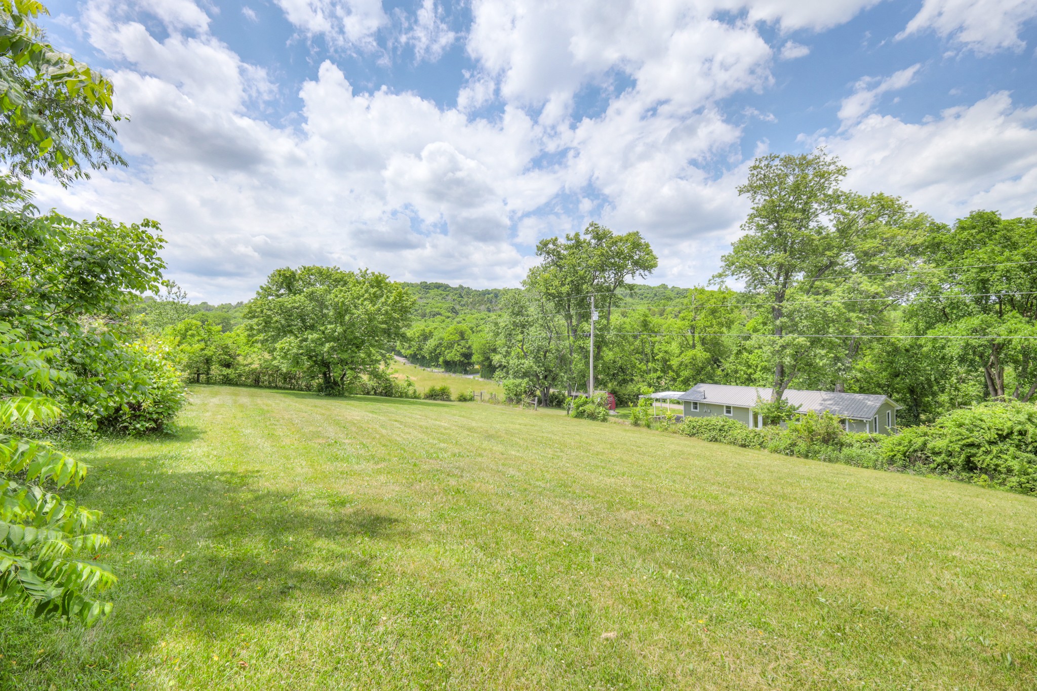 11914 Hogwood Road Milton, TN 37118 - Photo 43 of 44 a backyard of a house with lots of green space