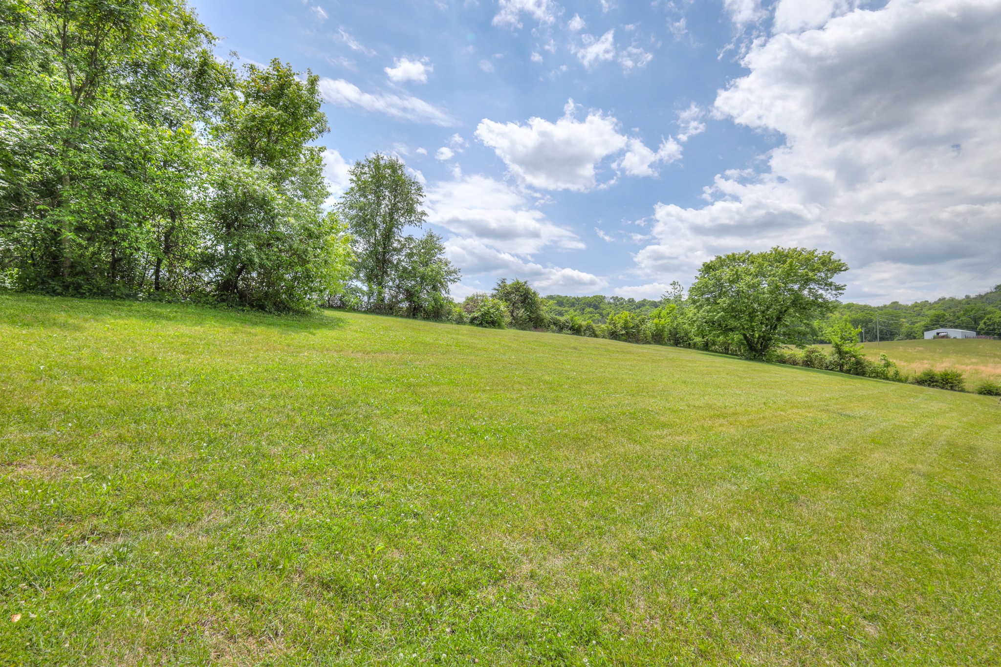 11914 Hogwood Road Milton, TN 37118 - Photo 44 of 44 a view of a field with an trees