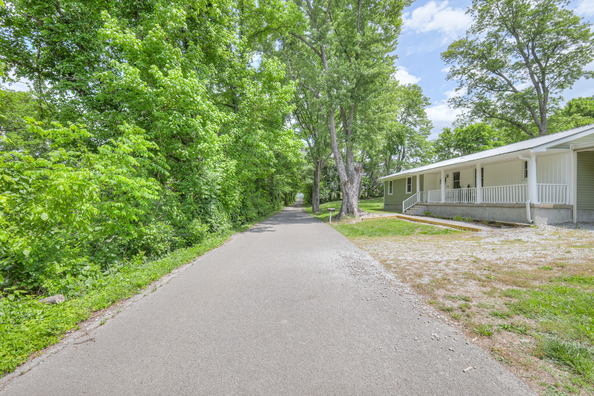 11914 Hogwood Road Milton, TN 37118 - Photo 5 of 44 a view of a backyard with large trees