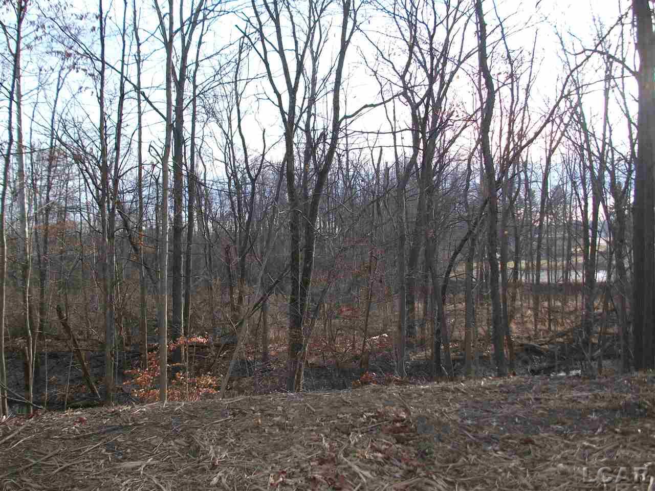 1631 Rivers Edge Court Adrian, MI 49221 - Photo 4 of 39