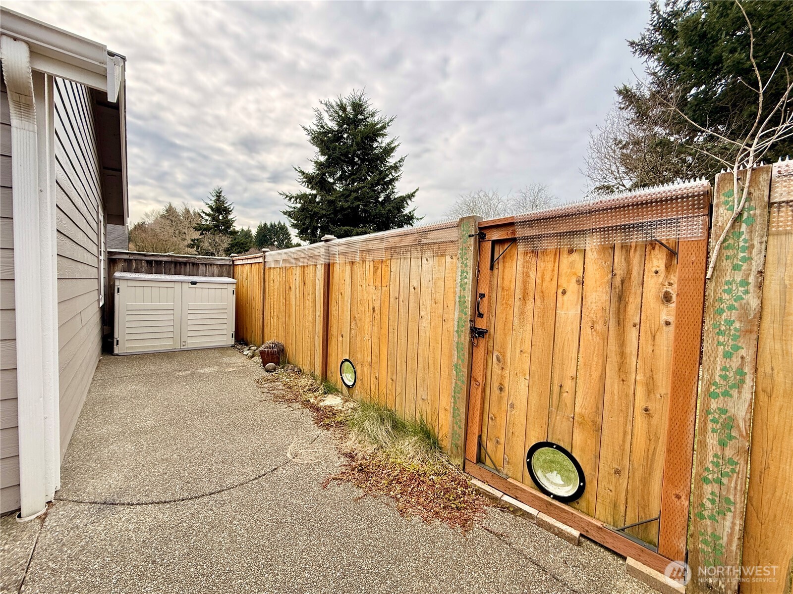 6039 Merlot Lane Southeast Lacey, WA 98513 - Photo 19 of 21 a view of a backyard of the house