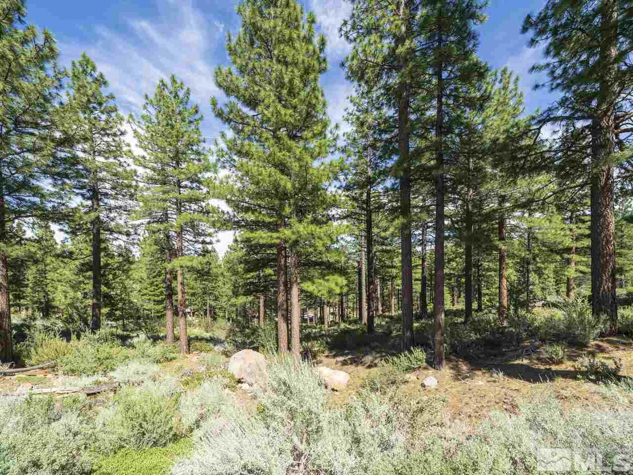 0 Abies Road, Unit PARCEL 4 Reno, NV 89511 - Photo 5 of 23 Photo 5