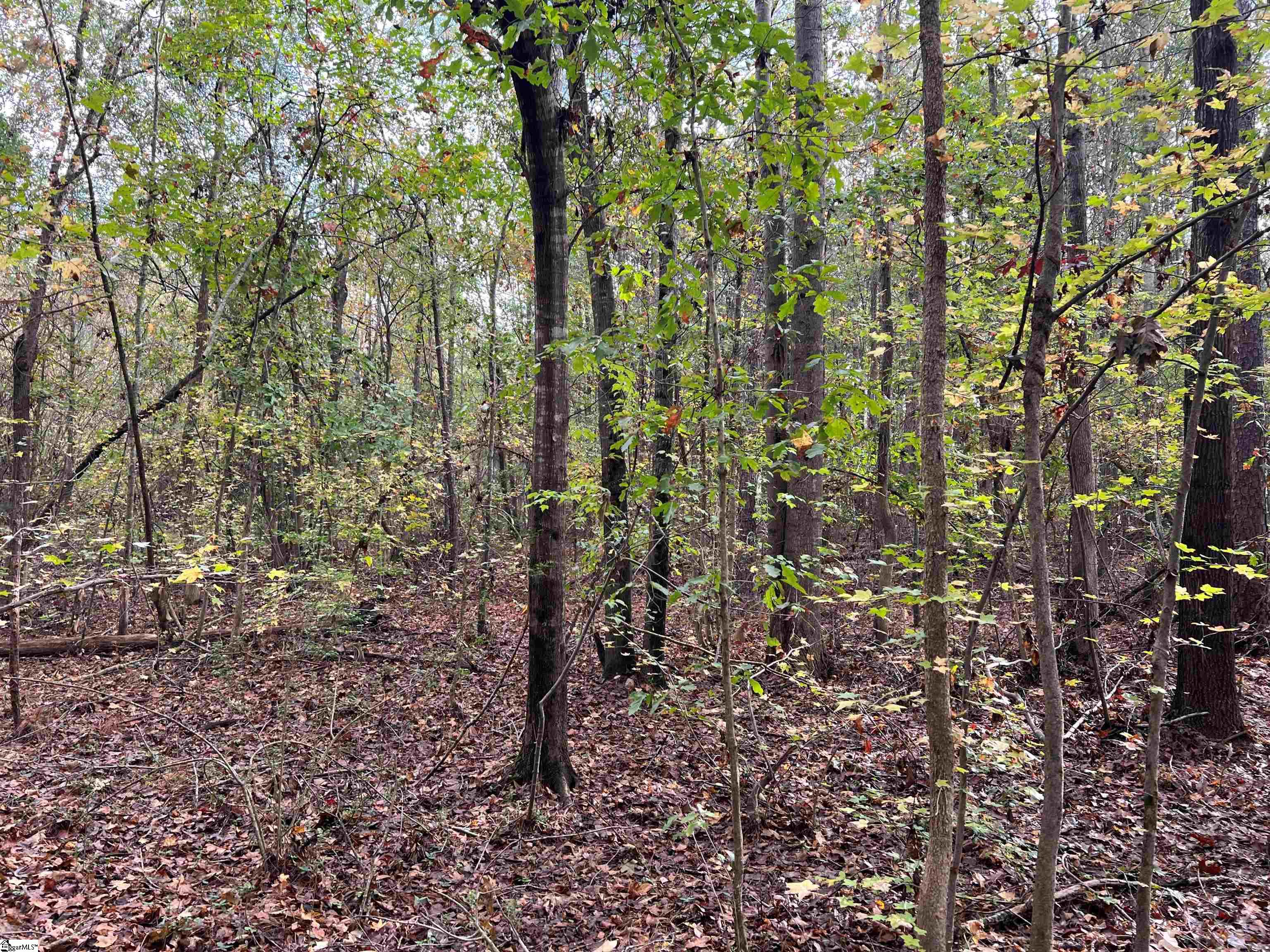 837 Martin Road Starr, SC 29684 - Photo 2 of 6