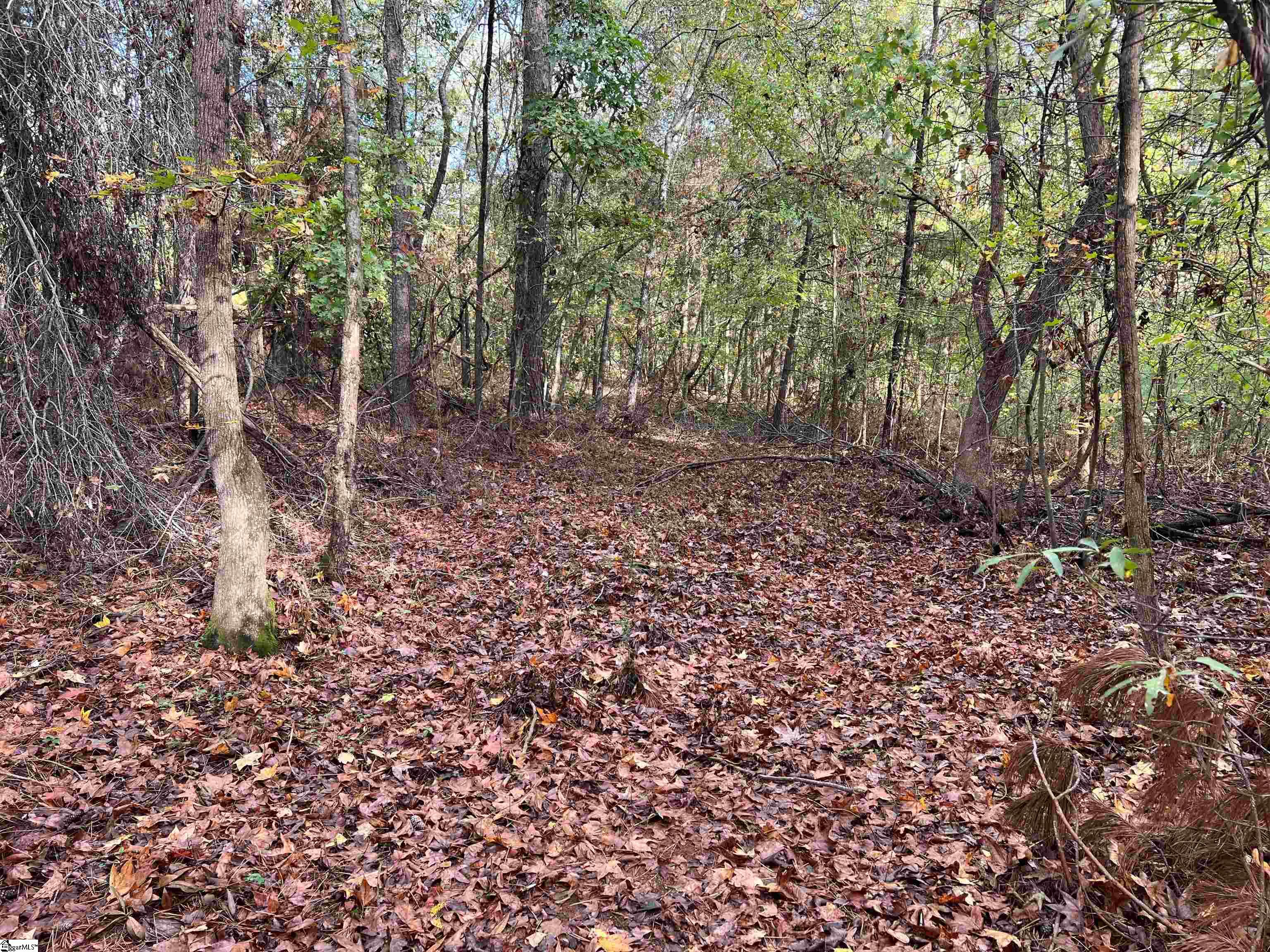 837 Martin Road Starr, SC 29684 - Photo 3 of 6