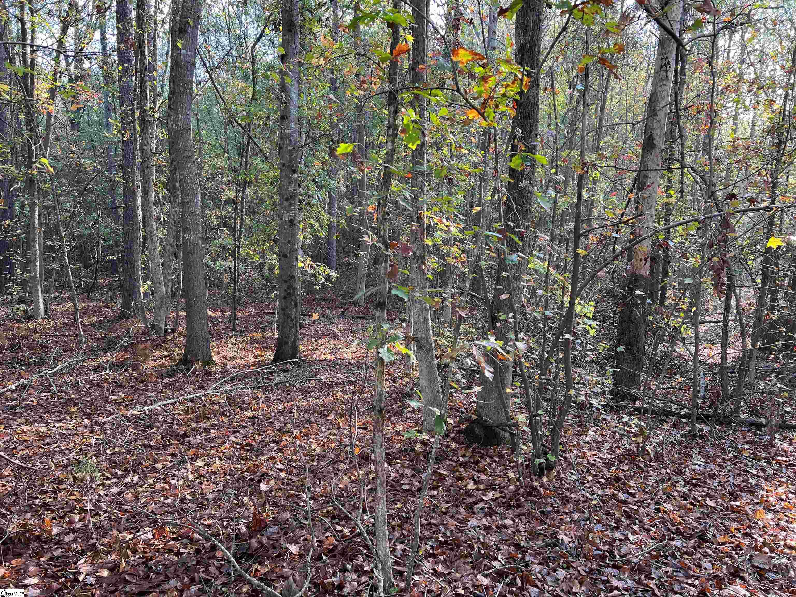 837 Martin Road Starr, SC 29684 - Photo 4 of 6