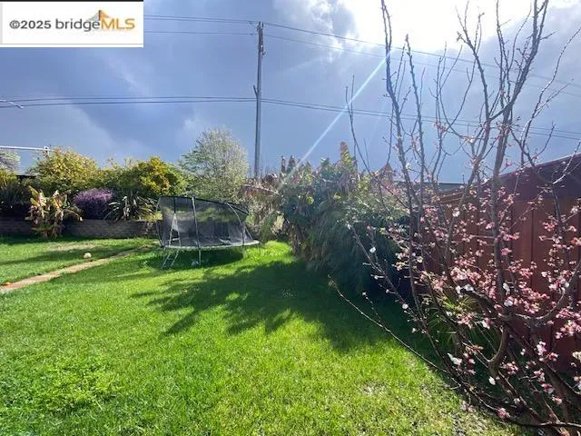 a view of a backyard