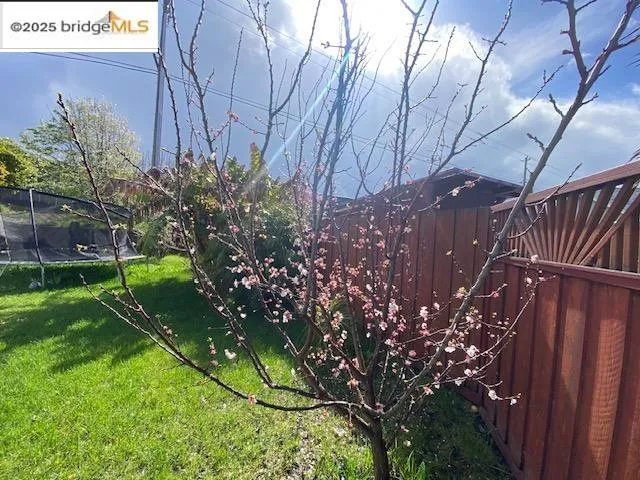 a view of a backyard