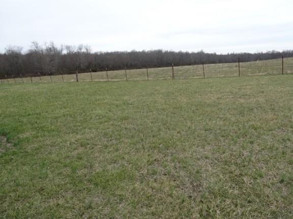 1141 Elam Road Manchester, TN 37355 - Photo 11 of 17