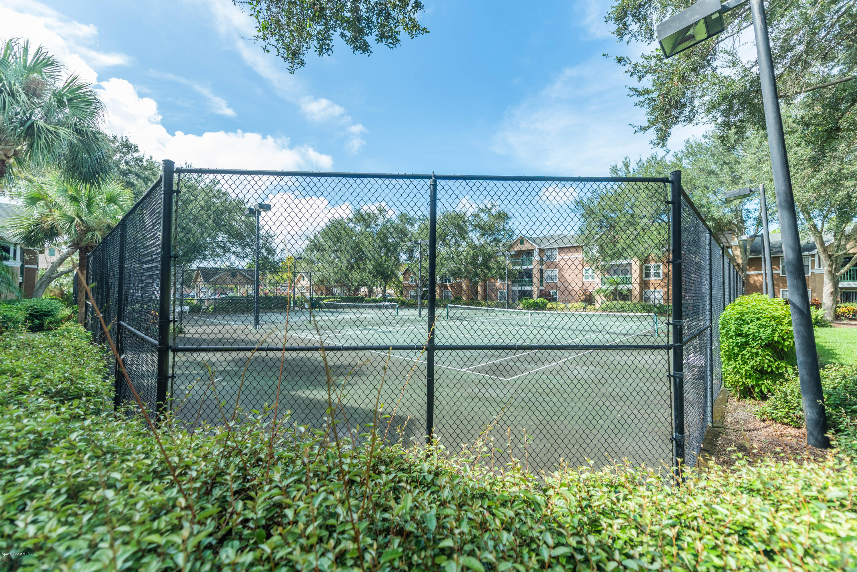 7667 North Wickham Road, Unit 802 Melbourne, FL 32940 - Photo 11 of 12 a view of a garden from a living room