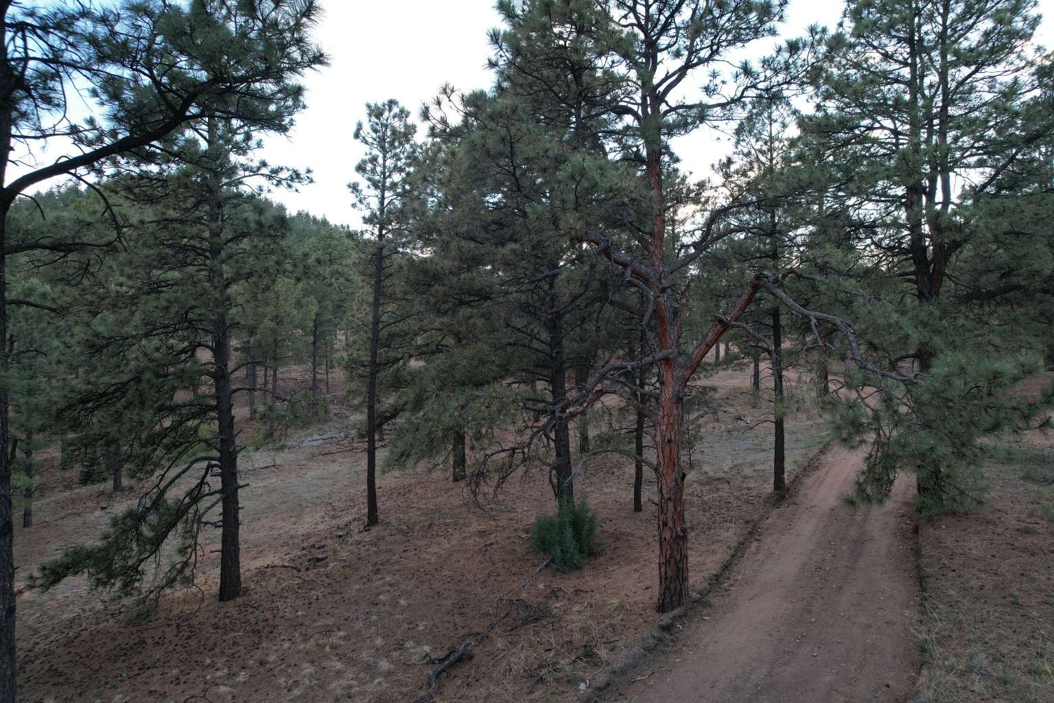 0 A015 County Road Mora, NM 87732 - Photo 4 of 40