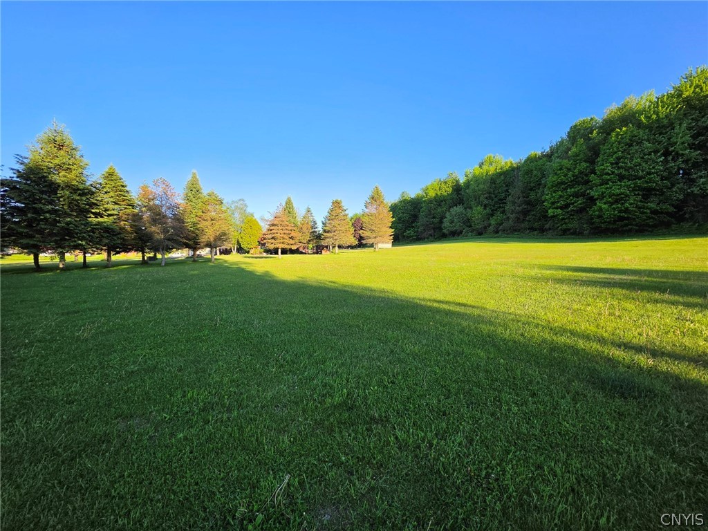 16029 County Rte 156 Watertown Town, NY 13601 - Photo 45 of 50