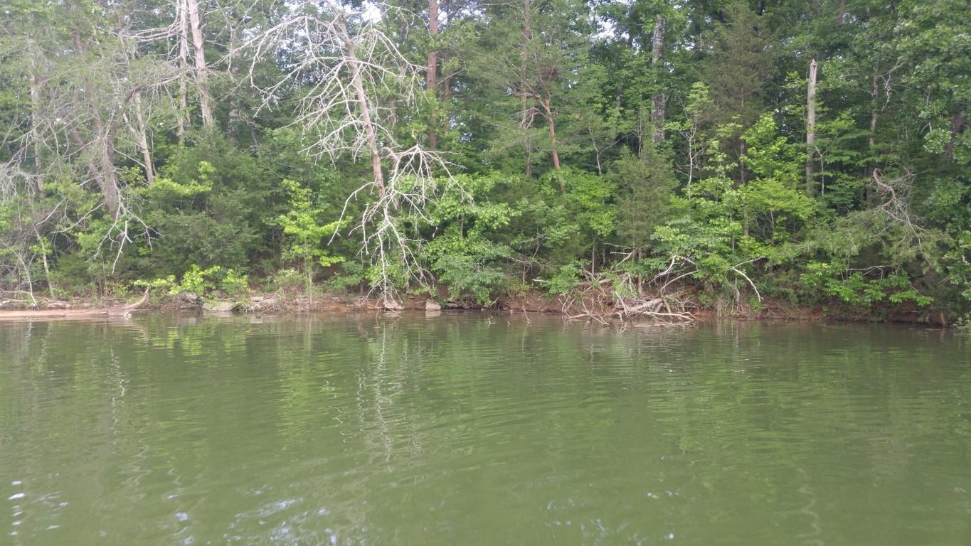 Lot 24 Debbie Dr Spring, Unit 24 Spring City, TN 37381 - Photo 1 of 24 1