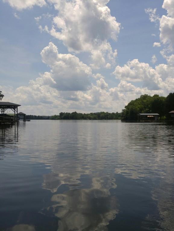 Lot 24 Debbie Dr Spring, Unit 24 Spring City, TN 37381 - Photo 10 of 24 10