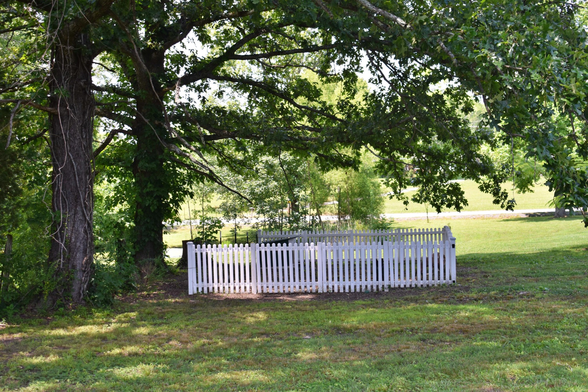 5858 Wolf Creek Road Spring City, TN 37381 - Photo 52 of 76