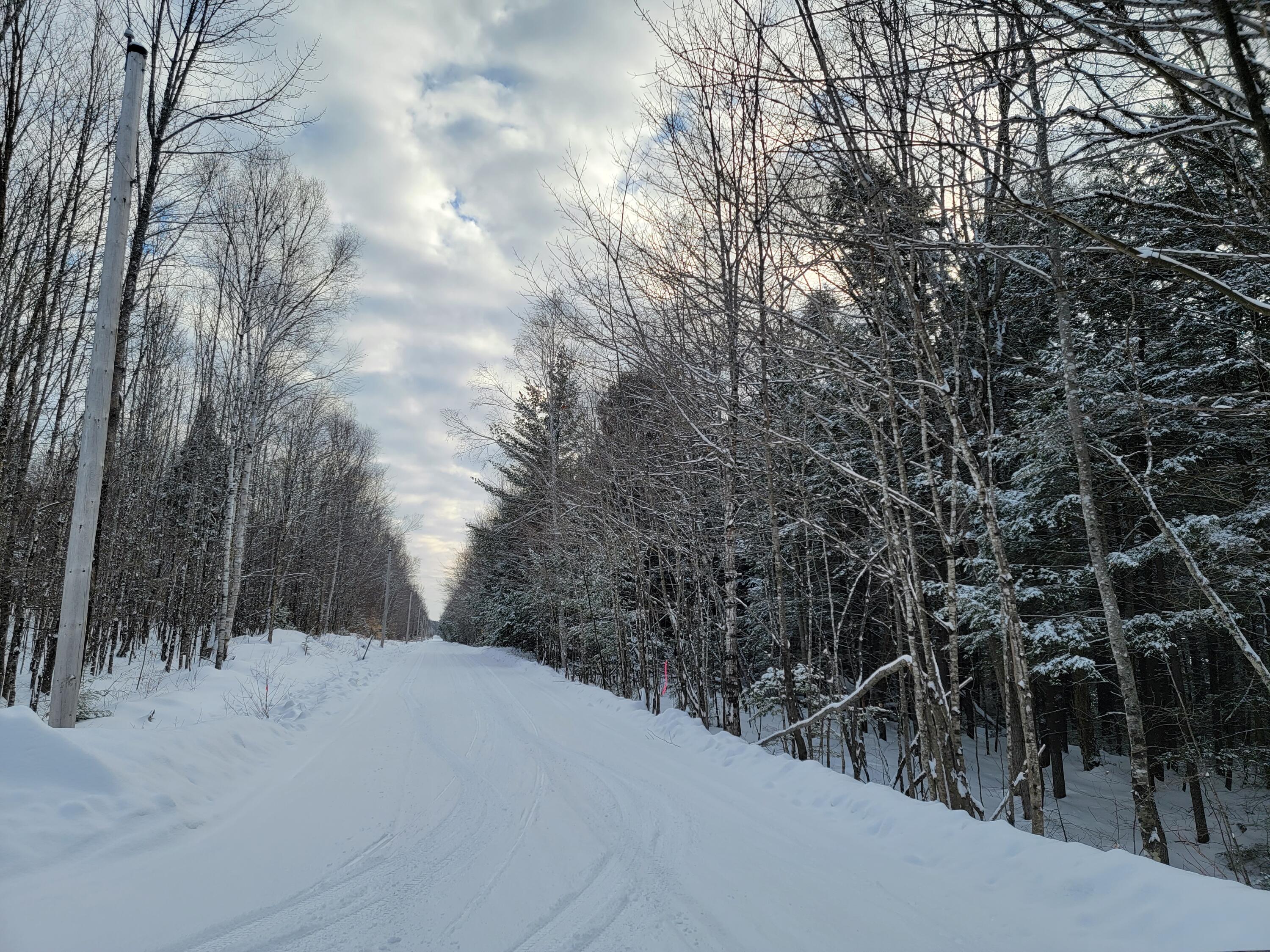 0 Railroadbed Rd Lake View Milo, ME 04463 - Photo 18 of 68 20220125_142429