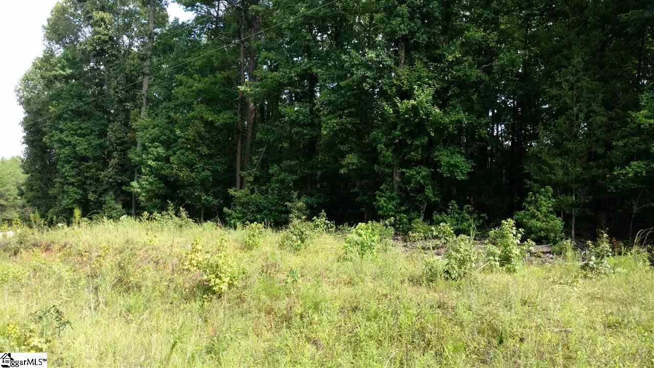Cheeks Circle Gray Court, SC 29645 - Photo 1 of 2 Gallery Image 1