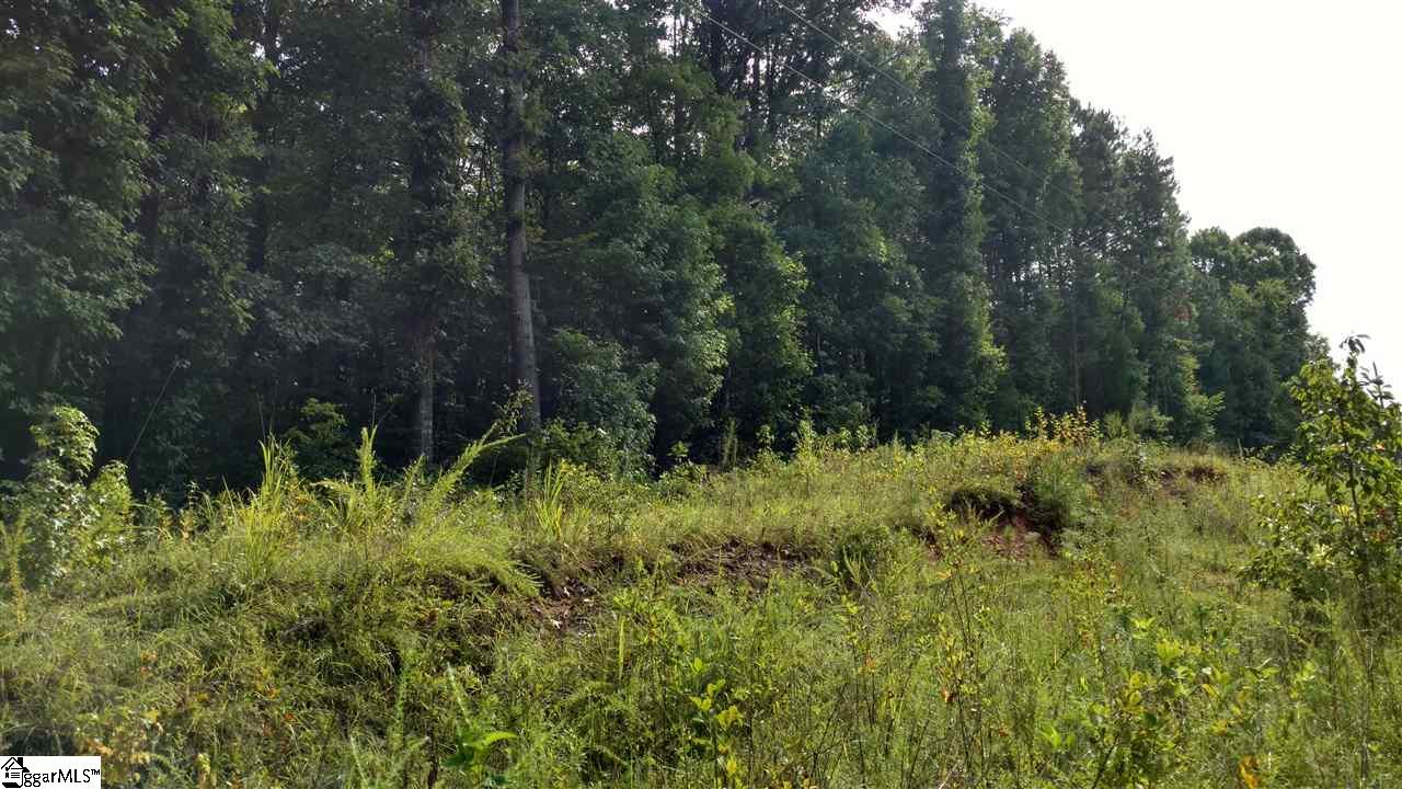 Cheeks Circle Gray Court, SC 29645 - Photo 2 of 2 Gallery Image 2