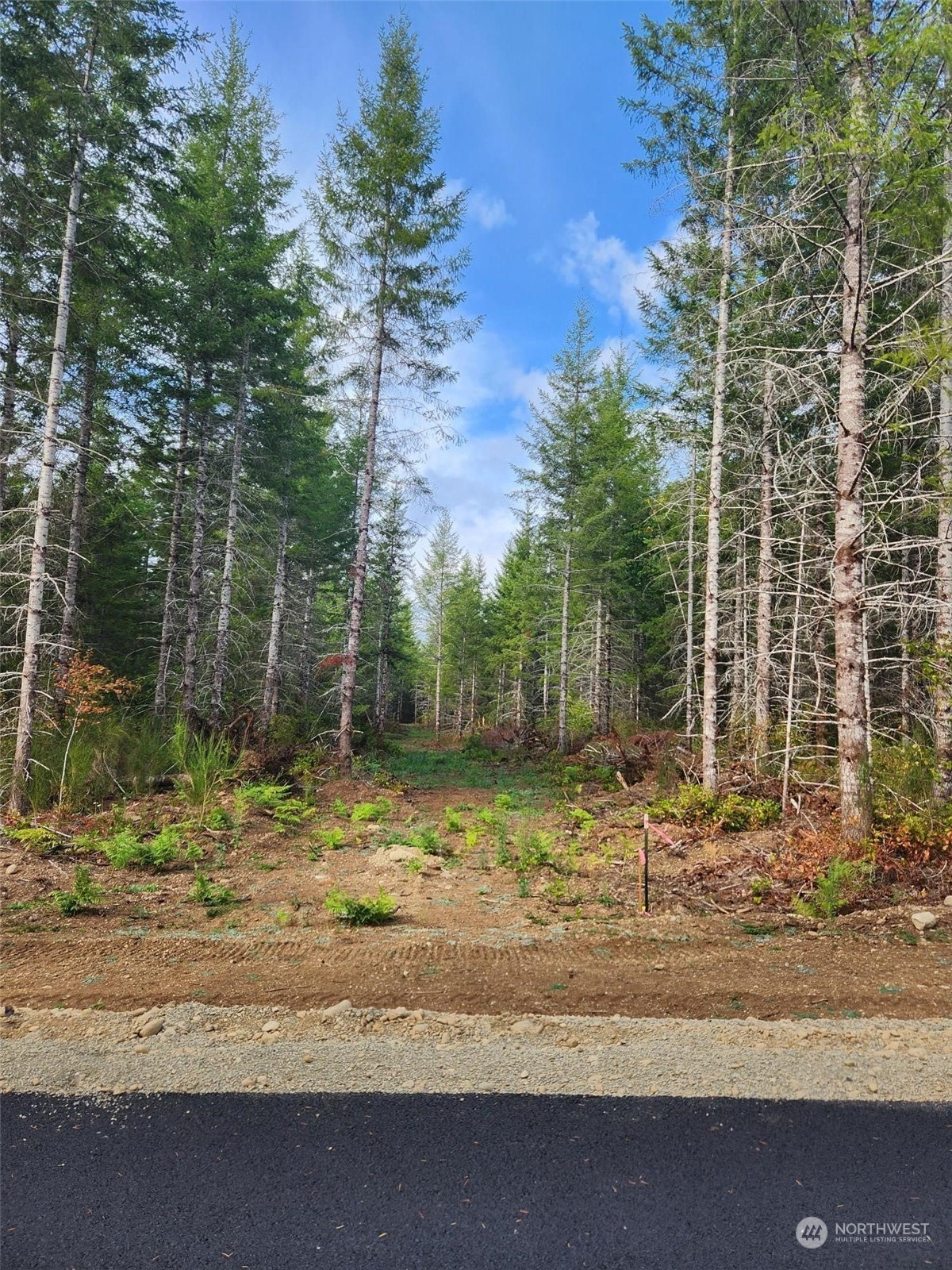 0 Lot 6 Div Elma, WA 98541 - Photo 4 of 10