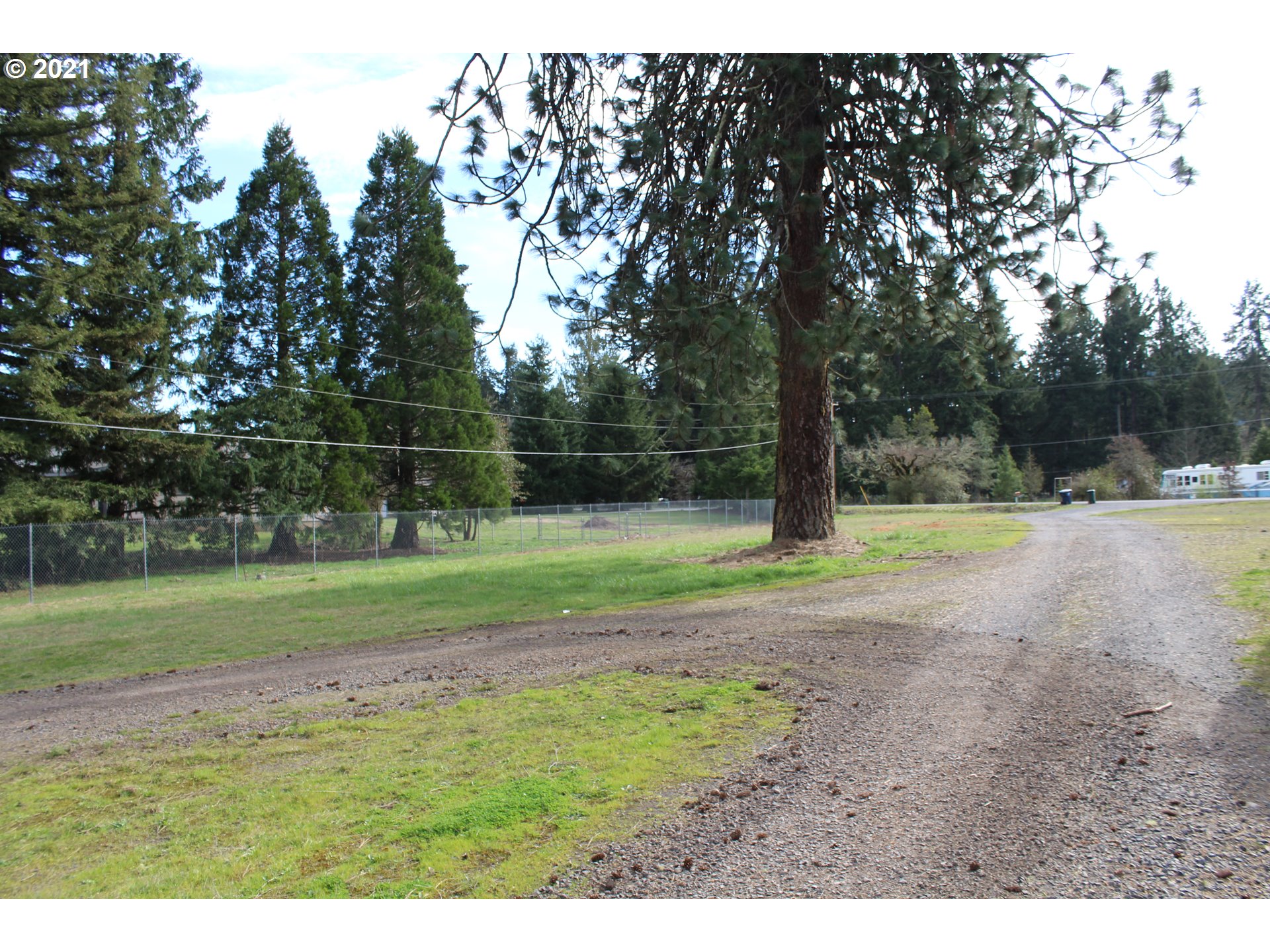 38003 Wheeler Road Dexter, OR 97431 - Photo 6 of 21