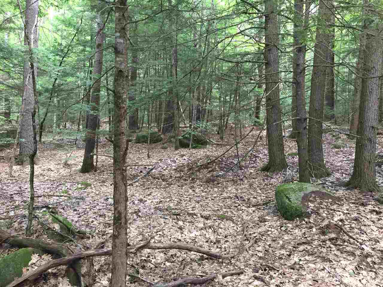Off Rabbit Hollow Road, Unit 4 AND 5 Swanzey, NH 03446 - Photo 3 of 9
