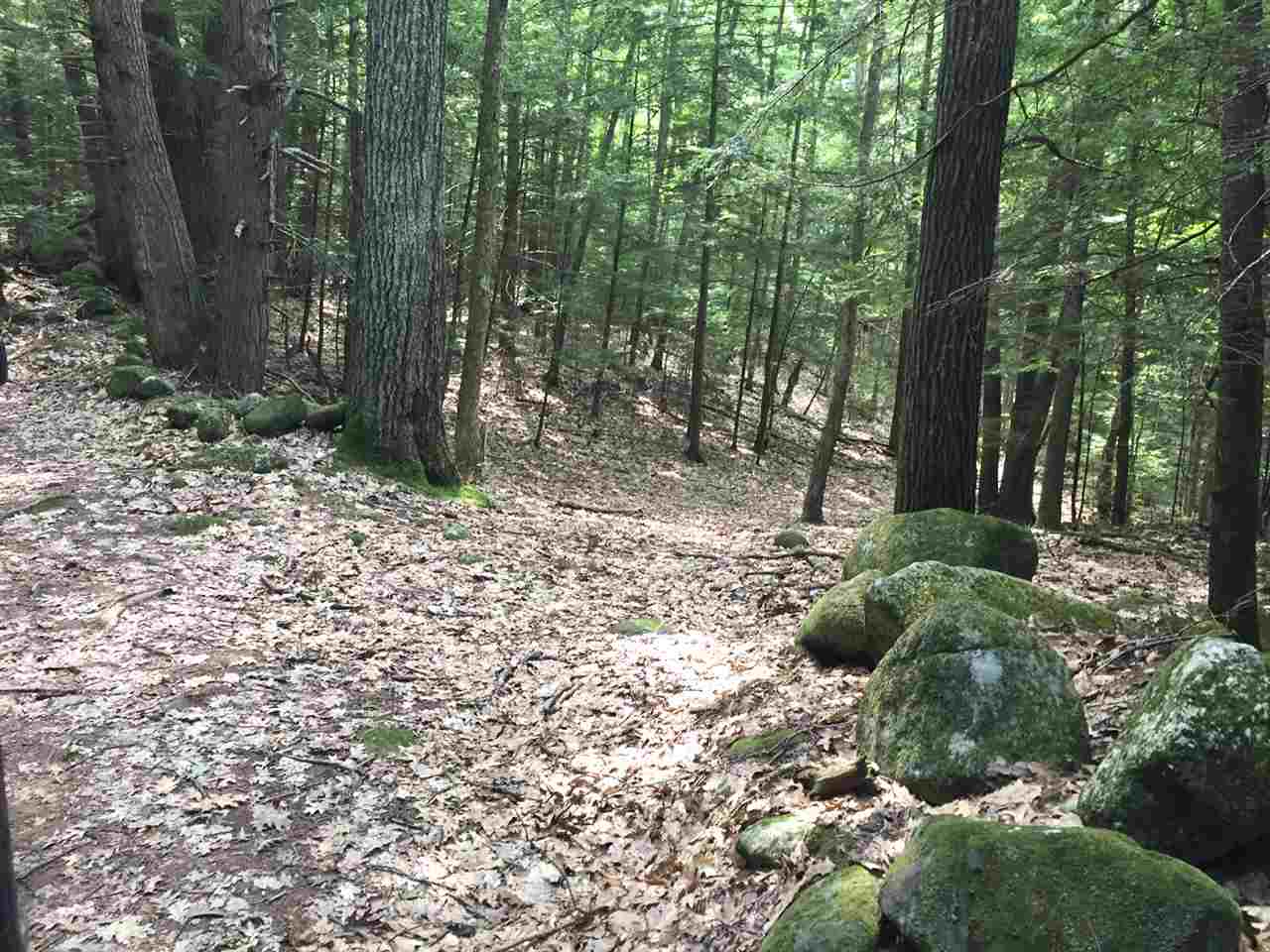 Off Rabbit Hollow Road, Unit 4 AND 5 Swanzey, NH 03446 - Photo 5 of 9