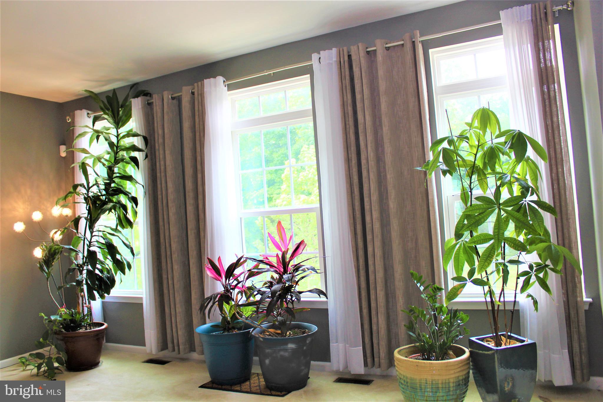 15806 Swanscombe Loop Upper Marlboro, MD 20774 - Photo 6 of 41