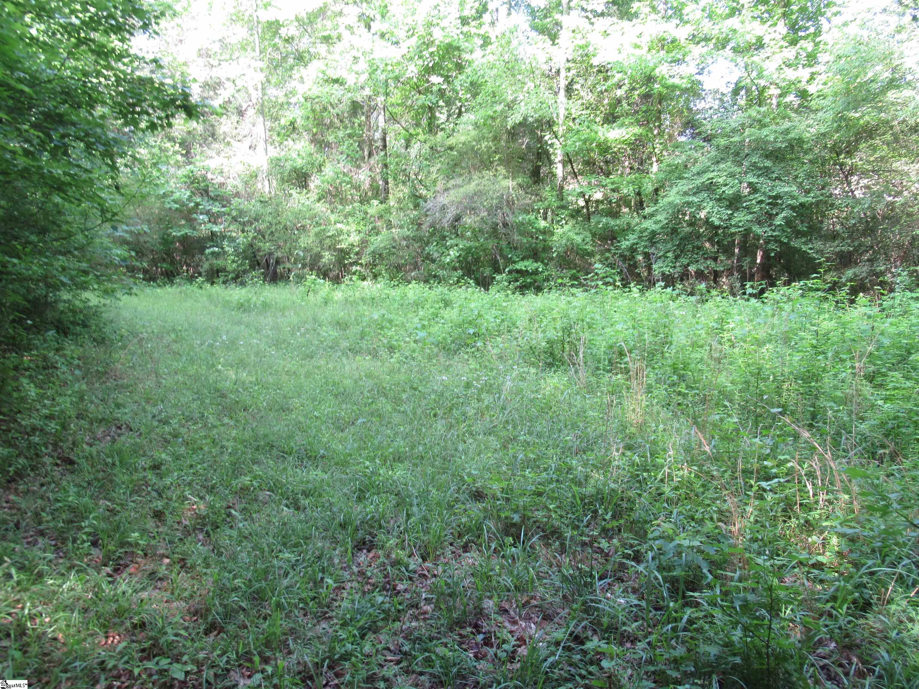 6 A Midway Road Pickens, SC 29671 - Photo 1 of 31