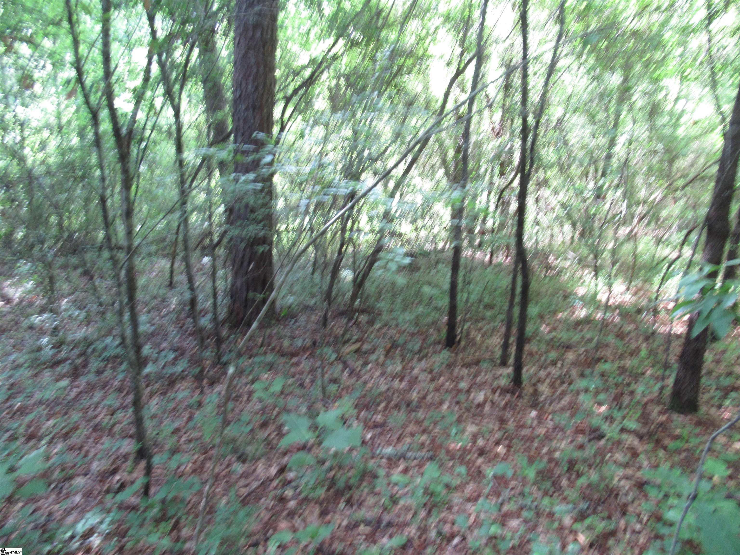 6 A Midway Road Pickens, SC 29671 - Photo 21 of 31
