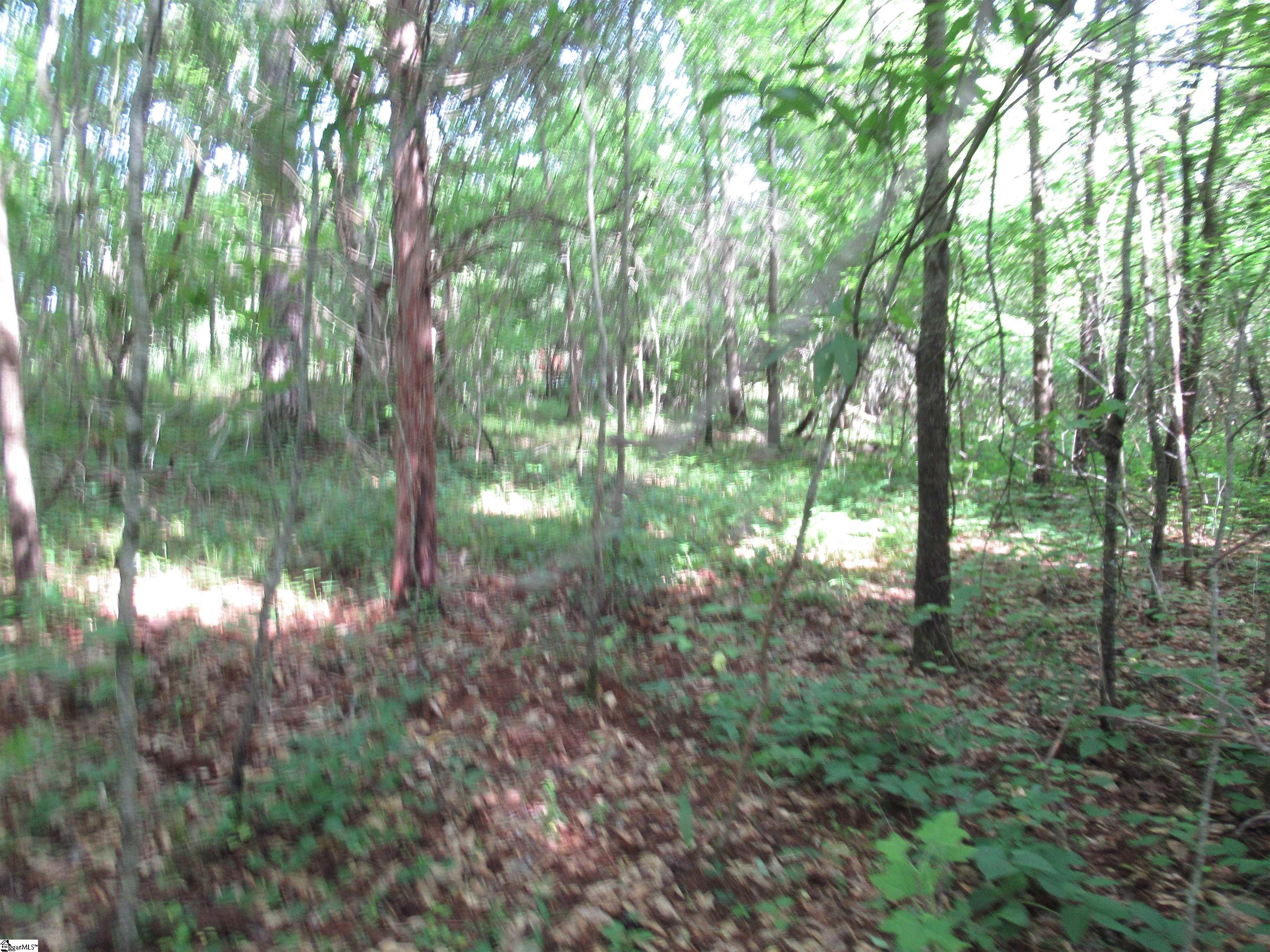 6 A Midway Road Pickens, SC 29671 - Photo 23 of 31