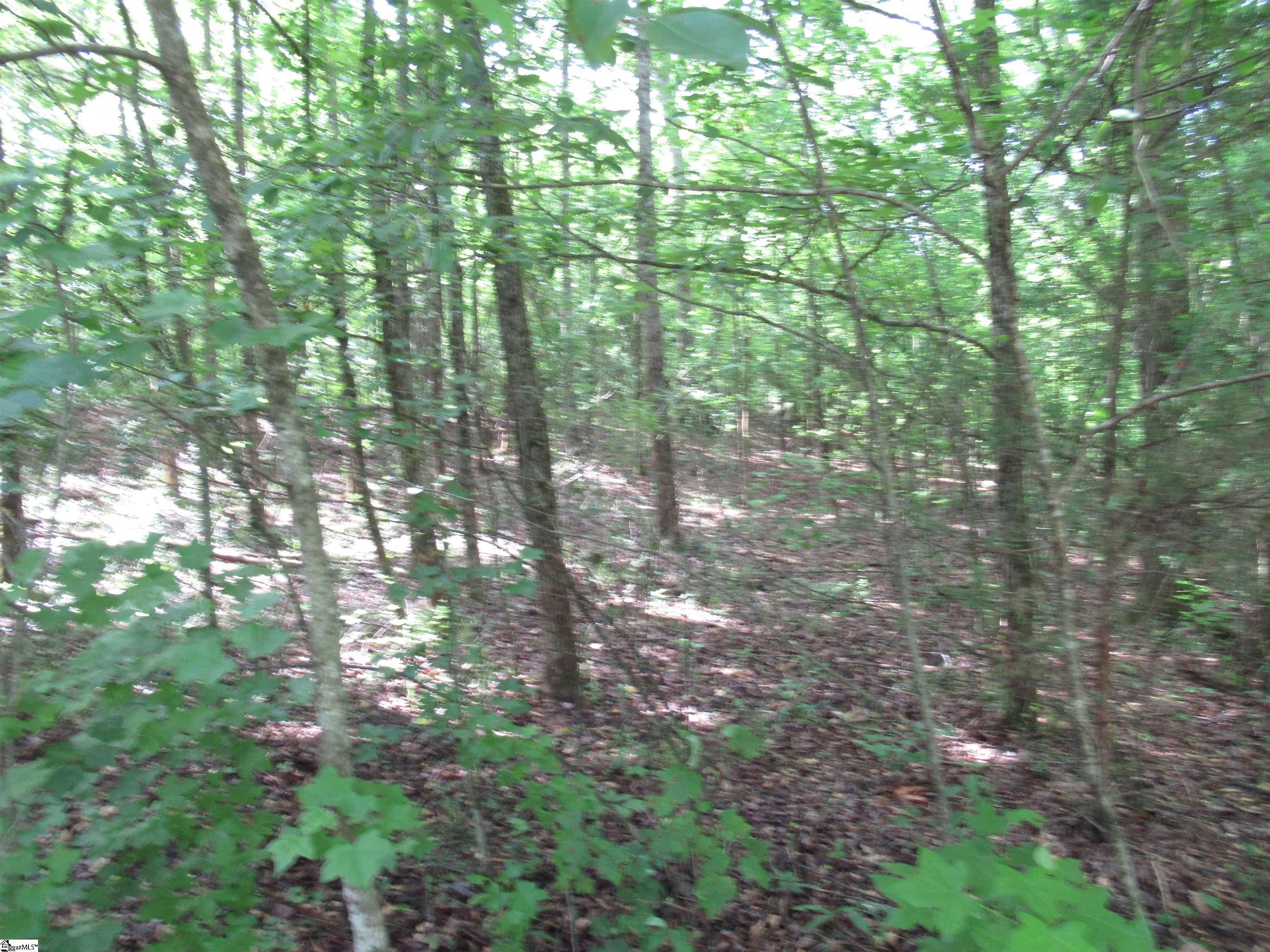 6 A Midway Road Pickens, SC 29671 - Photo 26 of 31