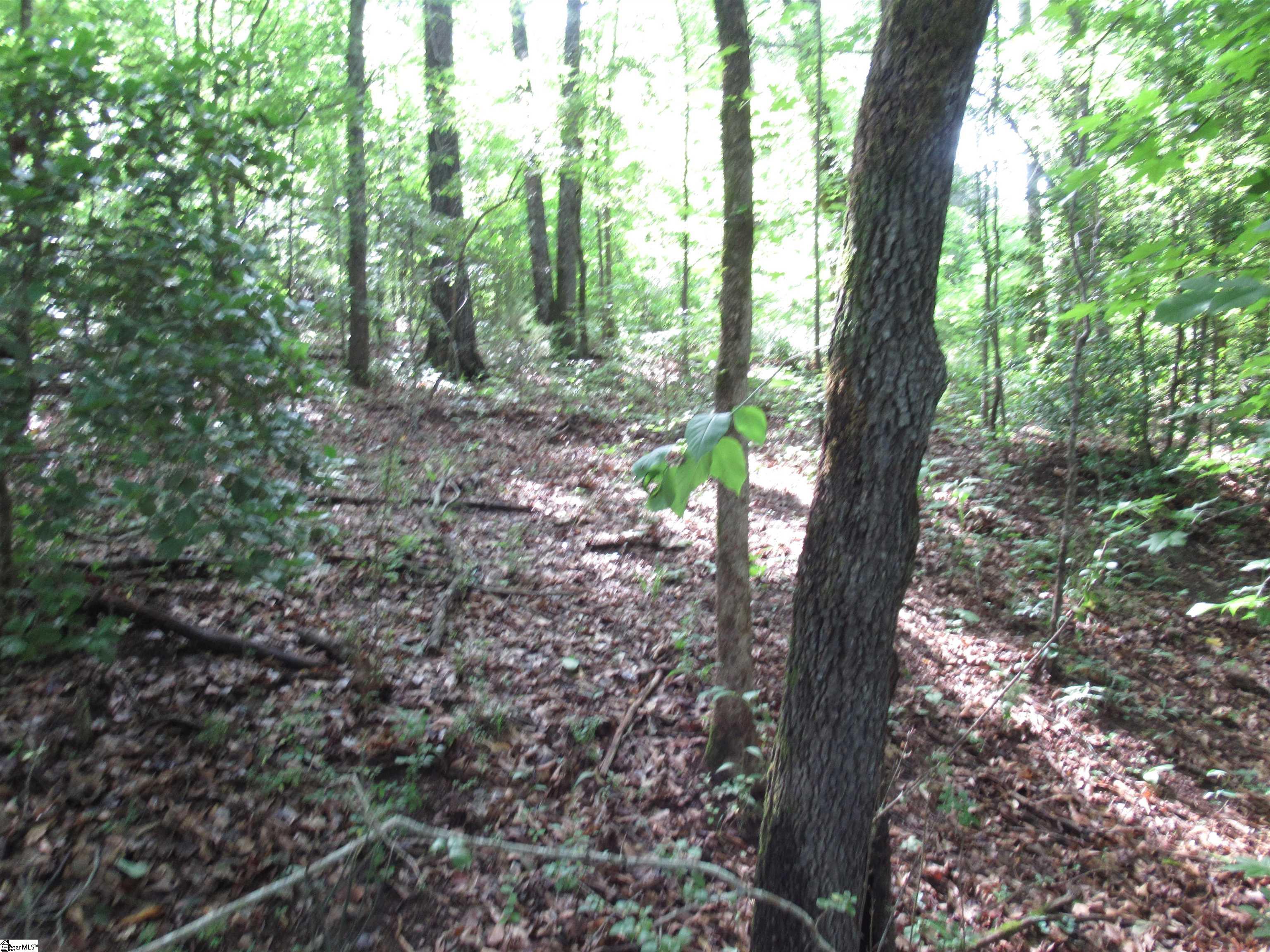 6 A Midway Road Pickens, SC 29671 - Photo 29 of 31