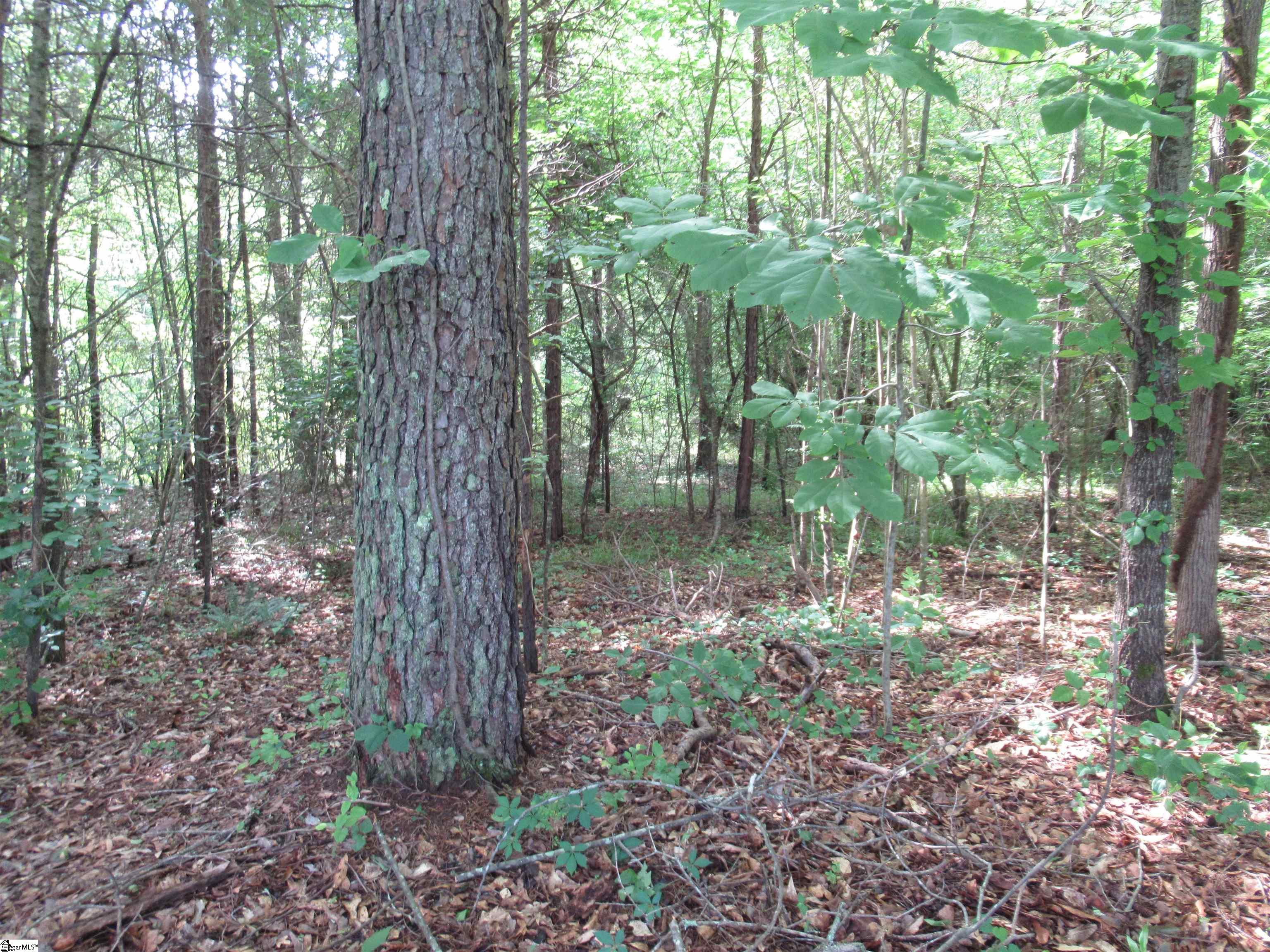 6 A Midway Road Pickens, SC 29671 - Photo 3 of 31