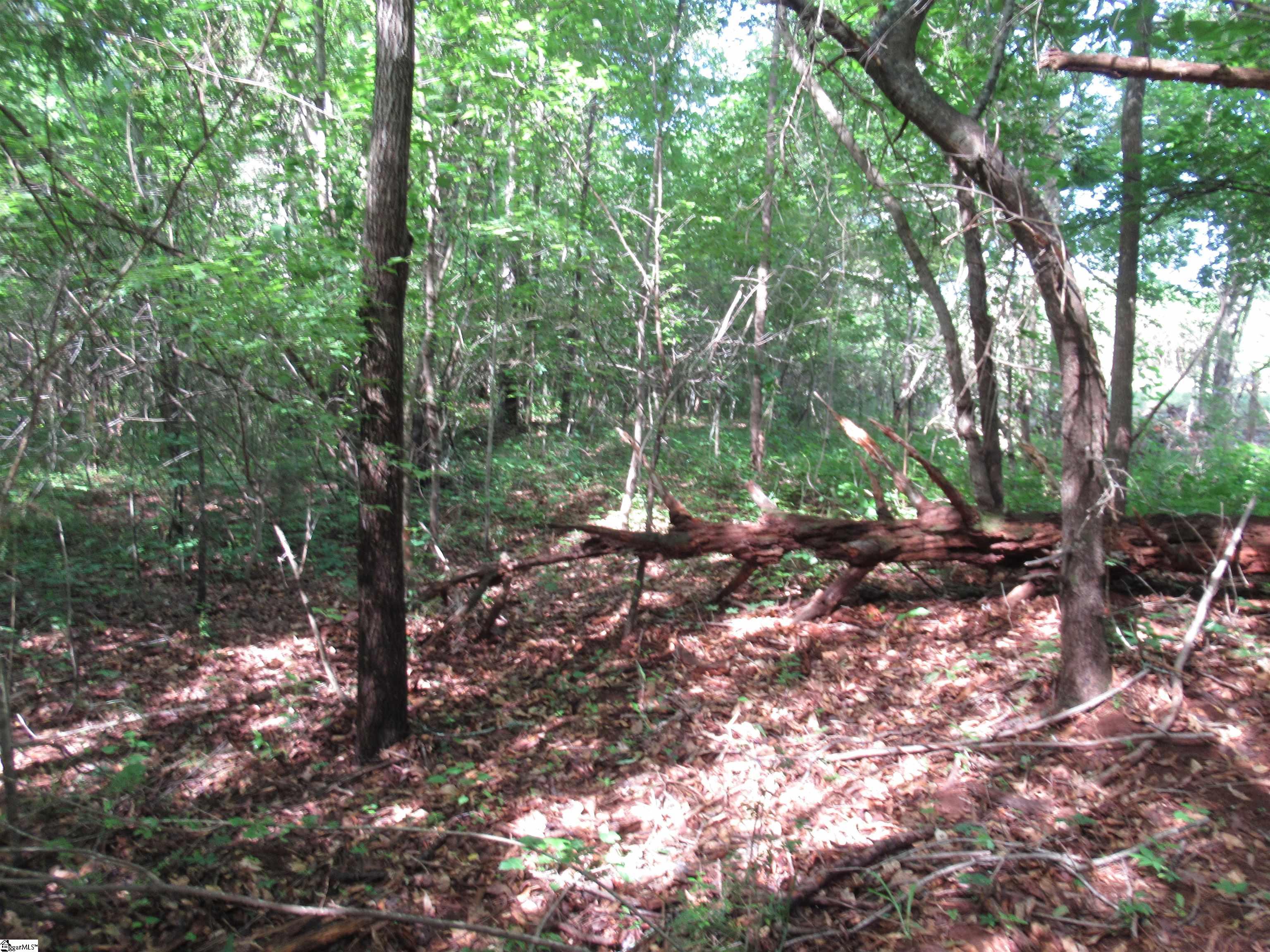 6 A Midway Road Pickens, SC 29671 - Photo 4 of 31