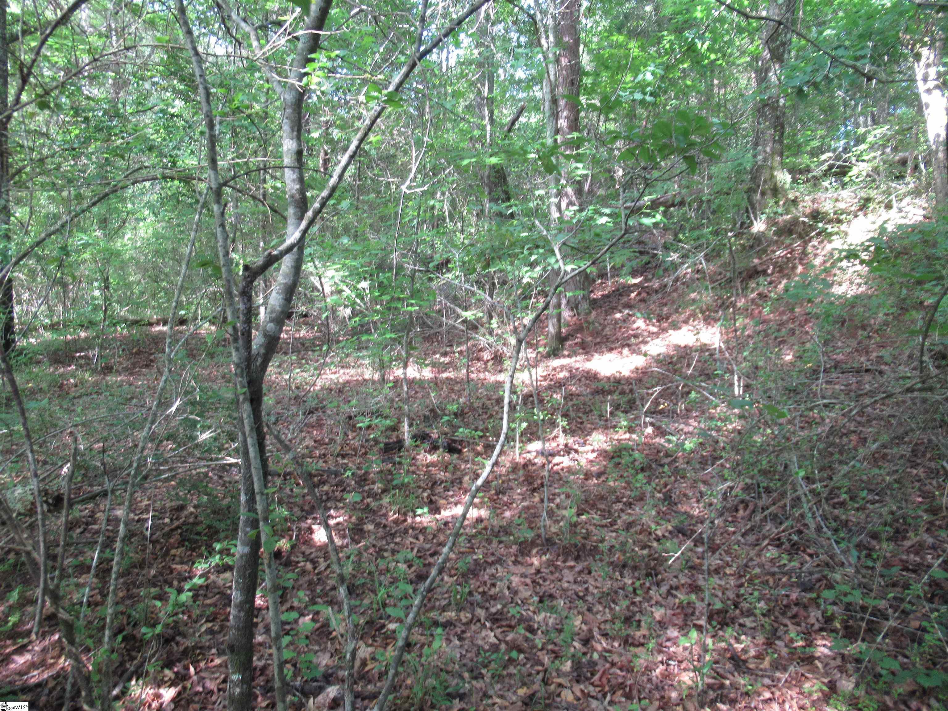 6 A Midway Road Pickens, SC 29671 - Photo 6 of 31