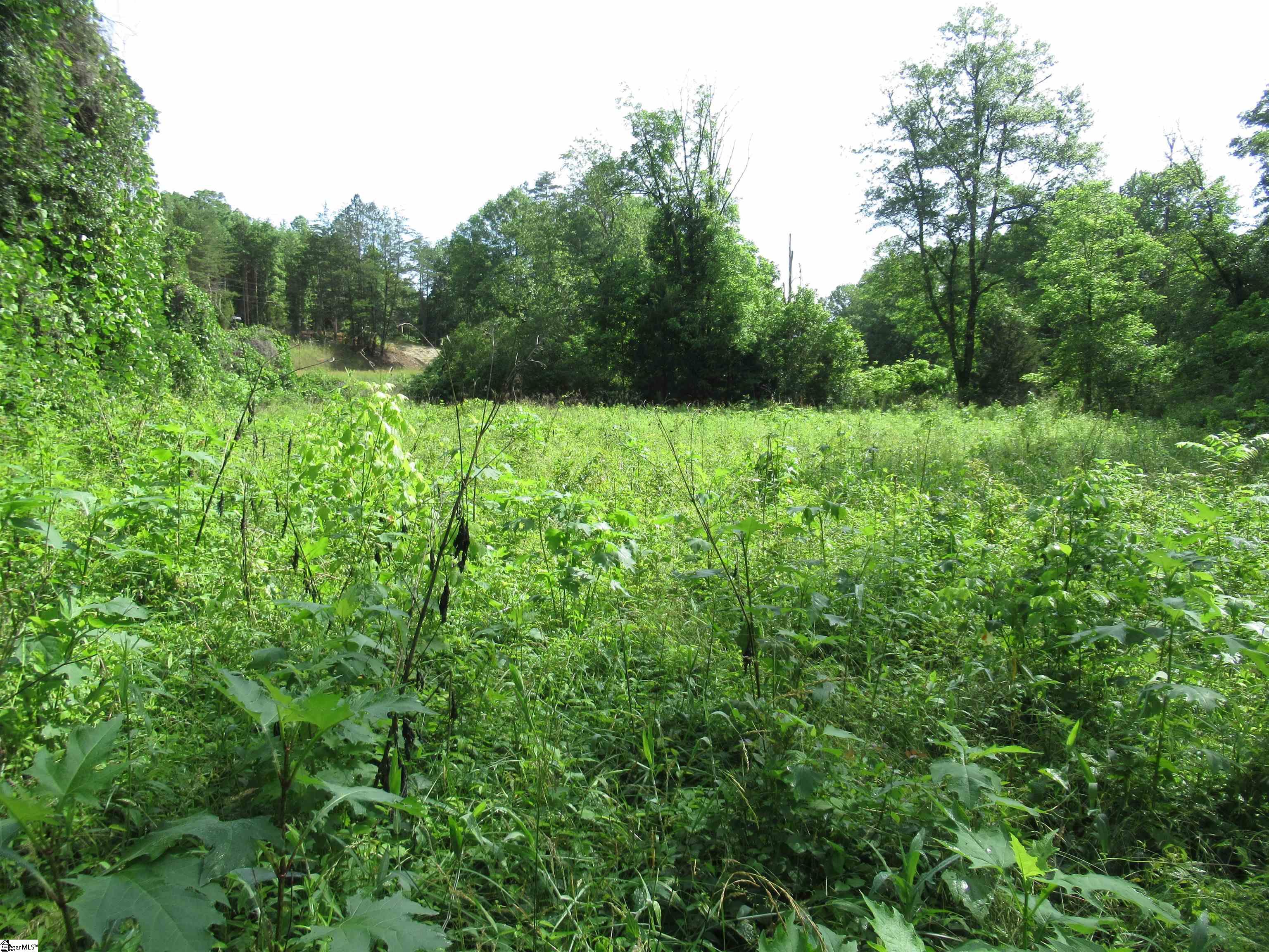 6 A Midway Road Pickens, SC 29671 - Photo 8 of 31