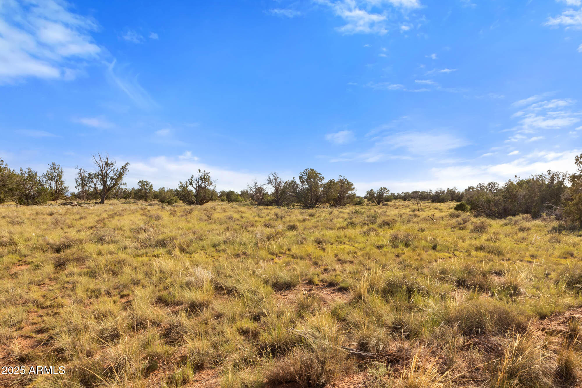 749 North Northland Road, Unit 12 Williams, AZ 86046 - Photo 8 of 15 a view of a large body of water with a tree in the background