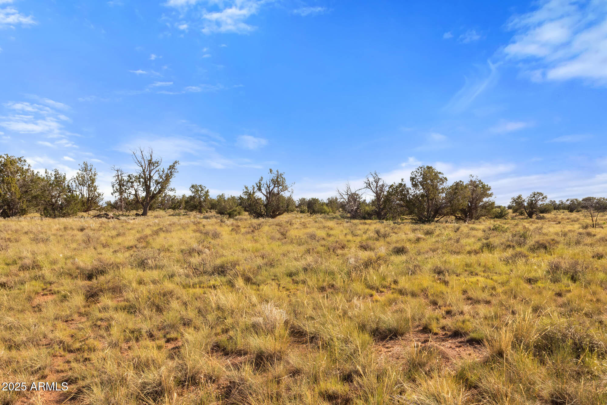 749 North Northland Road, Unit 12 Williams, AZ 86046 - Photo 9 of 15 a view of a yard