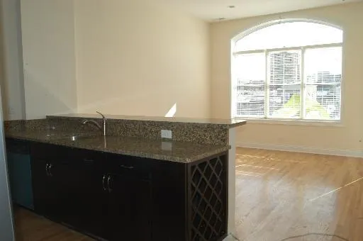 $2,950 | 918 West Belmont Avenue, Unit 403, Chicago, IL 60657