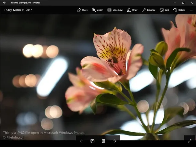 $2,000 | Undisclosed Address, Leonard, MN 56652