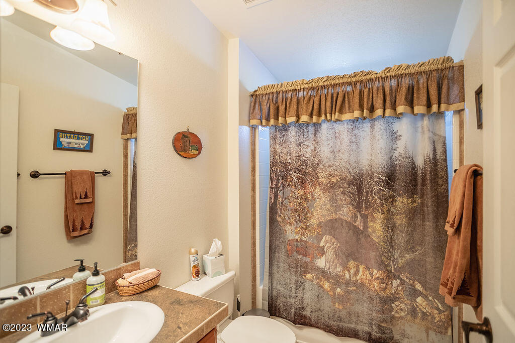 5369 Sunrise Road Pinedale, AZ 85934 - Photo 13 of 20