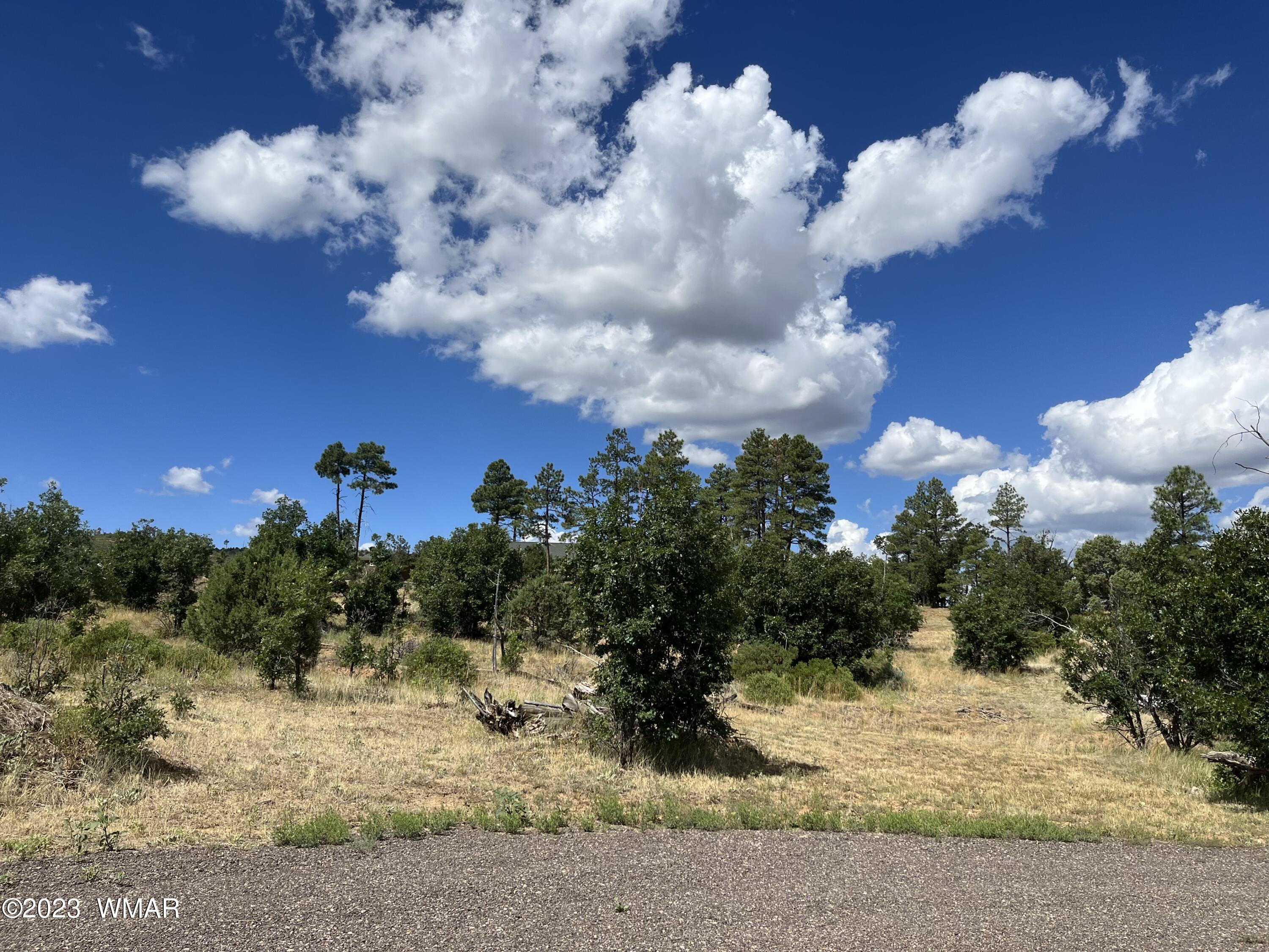5369 Sunrise Road Pinedale, AZ 85934 - Photo 18 of 20