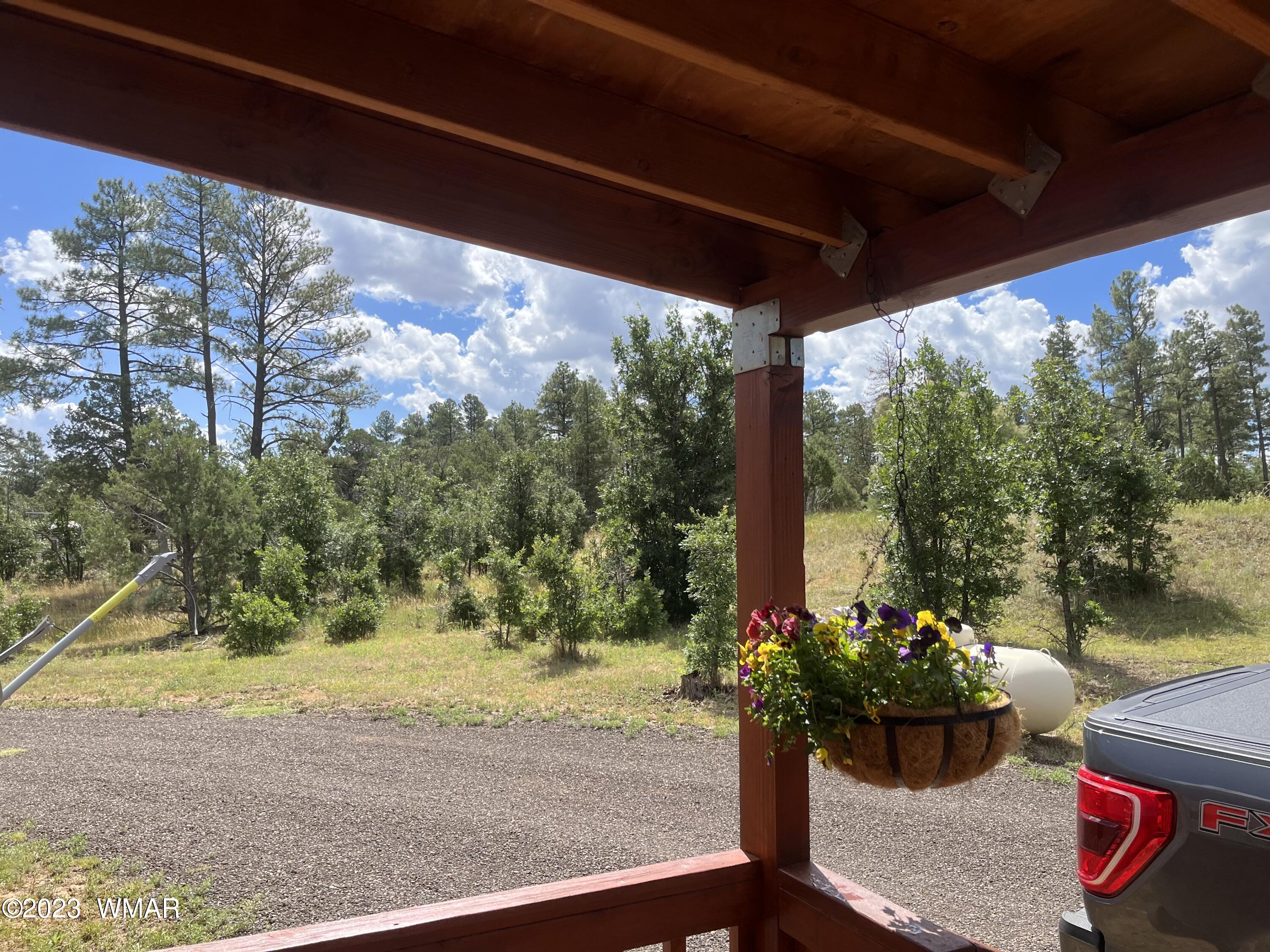 5369 Sunrise Road Pinedale, AZ 85934 - Photo 20 of 20